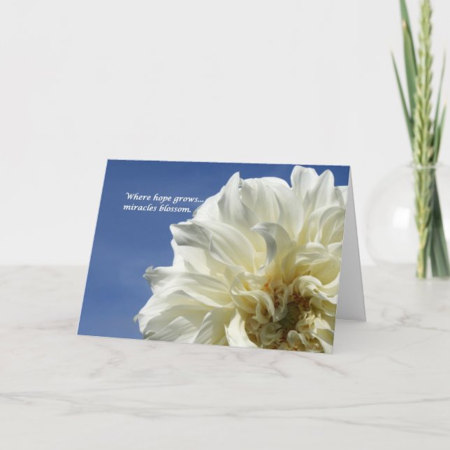 Wo Hoffnung wächst Karte (Vorderseite)