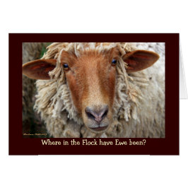 Wo in der Flock war Ewe?