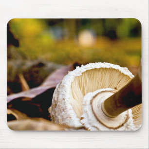 Wo ist Alice? Mushroom Still Life Mousepad
