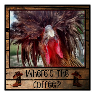 Wo ist der Kaffee mit polnischem Hühnchen? Poster