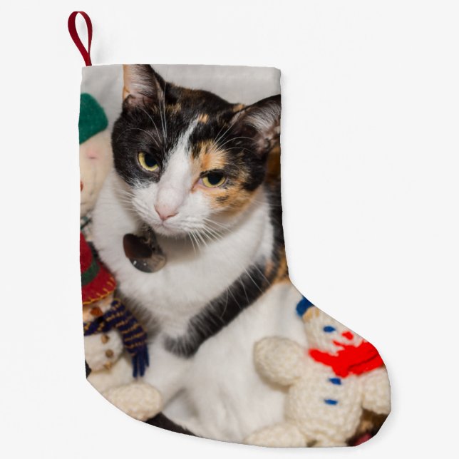 Wo ist der Weihnachtsmann-Strumpf? Kleiner Weihnachtsstrumpf (Vorderseite)