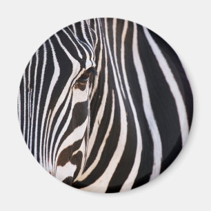 Wo ist der Zebra? Magnet