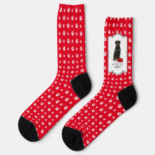 Wo ist mein Abendessen? Rottweiler mit Red Dog Dis Socken