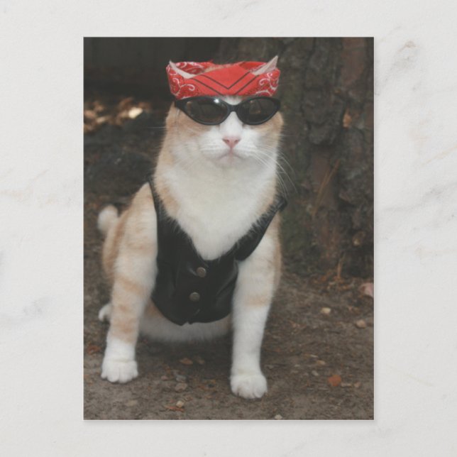 Wo ist mein Hund? Postkarte (Vorderseite)