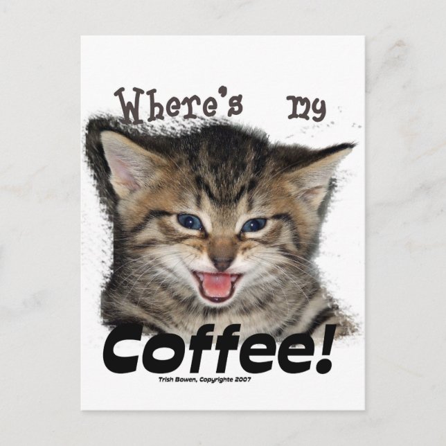 Wo ist mein Kaffee Cat? Postkarte (Vorderseite)