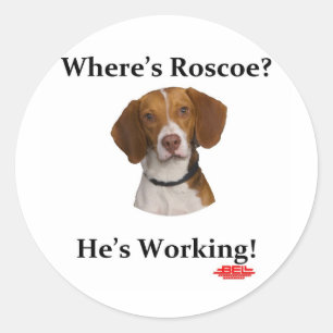 Wo ist Roscoe? Runder Aufkleber