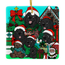 Wo ist (Waldo) Newfy? (rot)