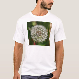 Wo jemals der Wind bläst T-Shirt
