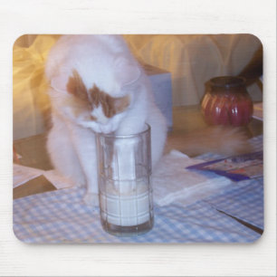 "WO" SIND DIE AUSSCHÜSSE? MOUSEPAD