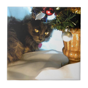 Wo sind meine Geschenke? Fliese