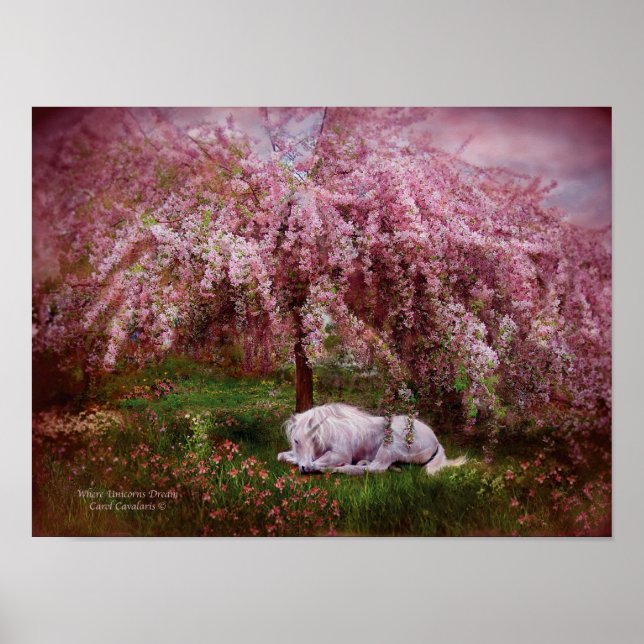 Wo Unicorn's Dream Art Poster/Print Poster (Vorne)