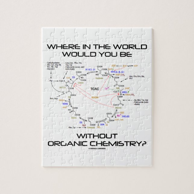 Wo würden Sie Bio Chemie sein? (Vertikal)