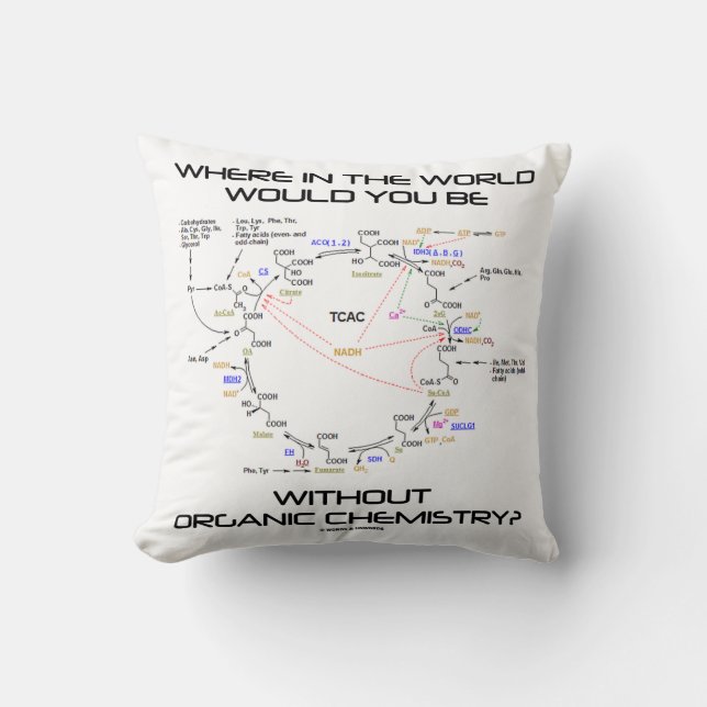 Wo würden Sie Bio Chemie sein? Kissen (Vorderseite)