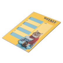 Wöchentliches Pad mit Cat Fotograf Foto