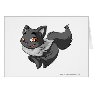 Wocky Schatten