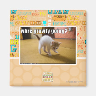 Wohin geht die Schwerkraft? Magnet