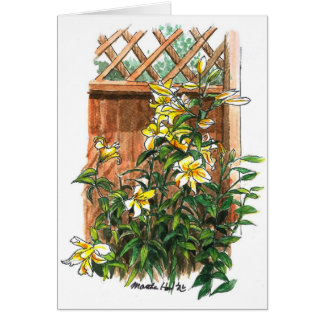 Wohlriechende Lilien