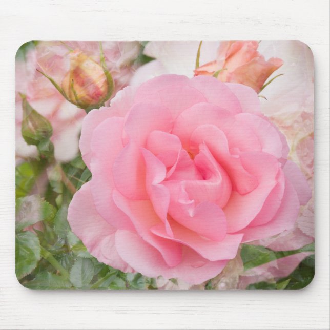 Wohlriechende Wolken-Rose Mousepad (Vorne)