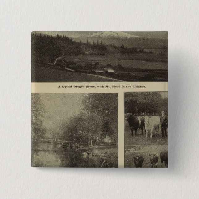 Wohlstand, viel in Oregon Button (Vorderseite)