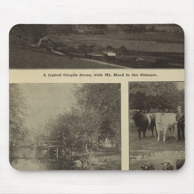 Wohlstand, viel in Oregon Mousepad (Vorne)