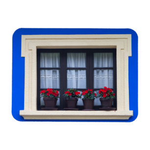 Wohngebäude mit Blume in Fenstern Magnet