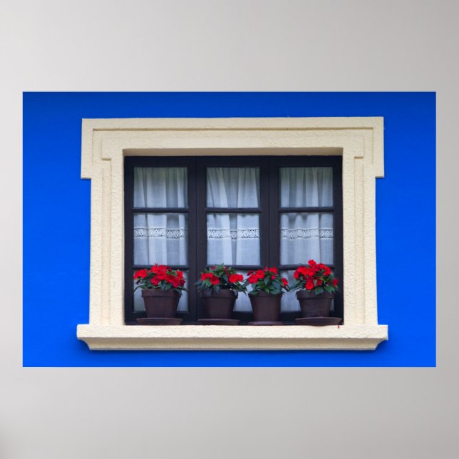 Wohngebäude mit Blume in Fenstern Poster (Vorne)