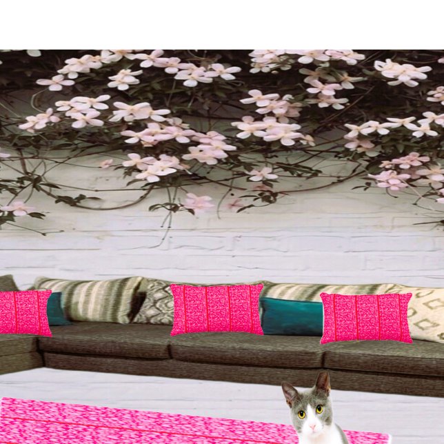 Wohngestaltung Ideen hören draußen / innen Kissen (Matching rug also available in store)