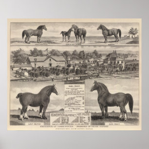 Wohnsitz von James-Töpfer, Junction City, Kansas Poster