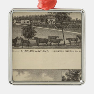 Wohnsitze und Bauernhöfe, Edgerton, Kansas Silbernes Ornament