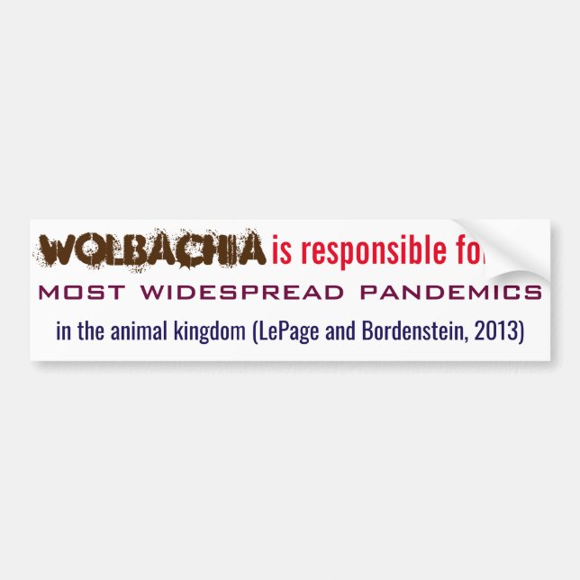 Wolbachia ist verantwortlich für RoseWrites Autoaufkleber (Vorne)
