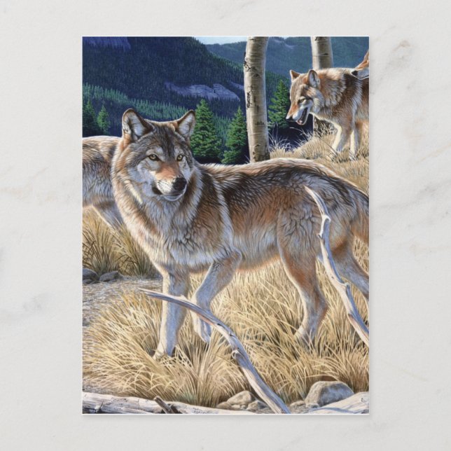 Wölbchen in der Waldmalerei Postkarte (Vorderseite)