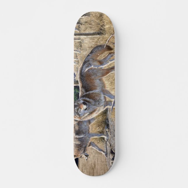 Wölbchen in der Waldmalerei Skateboard (Vorne)