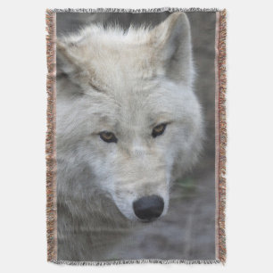 Wolf 001 decke