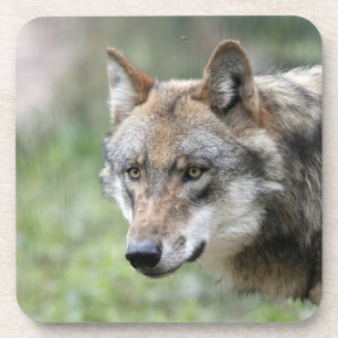 Wolf 001 getränkeuntersetzer
