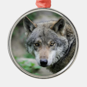Wolf_011 Silbernes Ornament