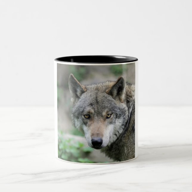 Wolf_011 Zweifarbige Tasse (Mittel)
