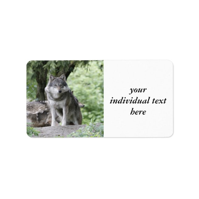 Wolf 14AJ Adressaufkleber (Vorne)