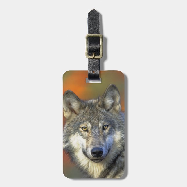 Wolf_2015_0302 Gepäckanhänger (Vorderseite vertikal)