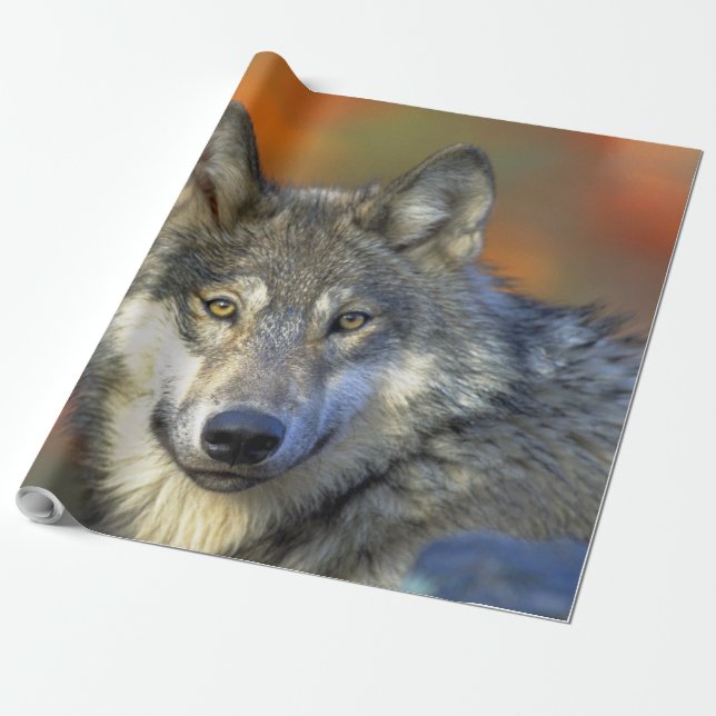 Wolf_2015_0302 Geschenkpapier (Ungerollt)