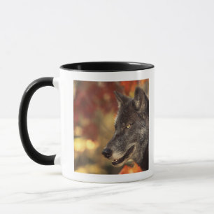 Wolf 2 tasse