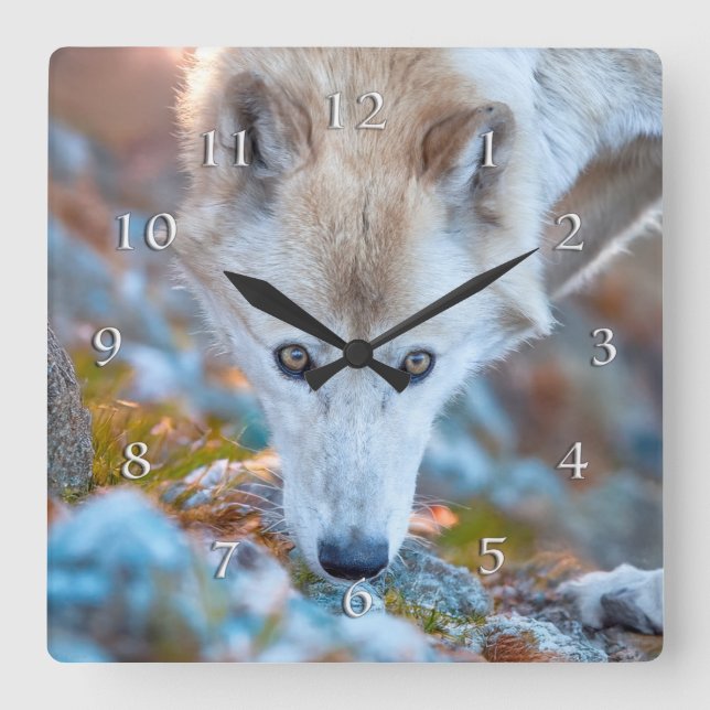 WOLF ALPINE TREKKER QUADRATISCHE WANDUHR (Vorderseite)