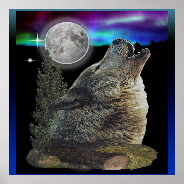 Wolf am Nachtplakat Poster (Vorne)