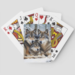 Wolf Animal Nature Wildlife Zuneigung Gekümmert Spielkarten