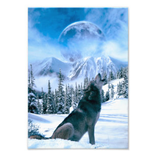 Wolf-Anruf Fotodruck