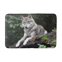 Wolf auf einem Kantenbad