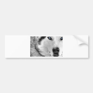 Wolf Autoaufkleber