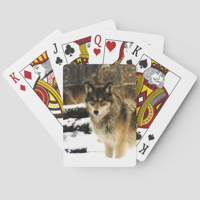Wolf Bicycle Playing Cards Spielkarten (Rückseite)