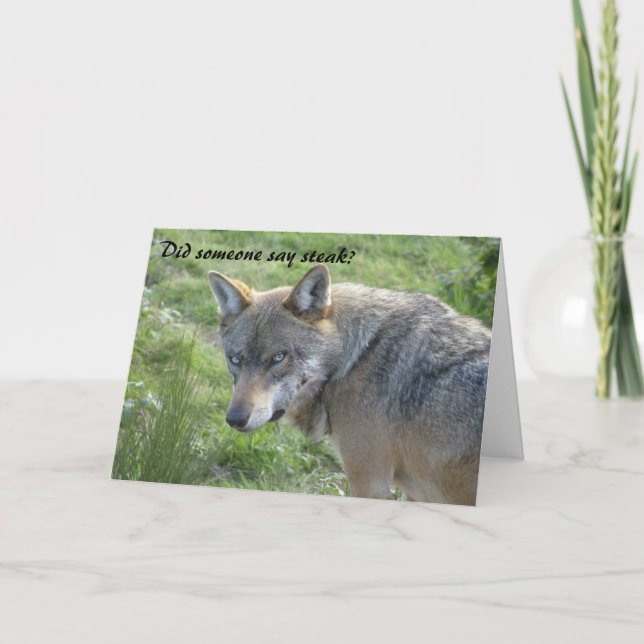 Wolf birthday card karte (Vorderseite)