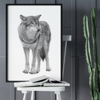Wolf Black White Style Cabine moderne Poster