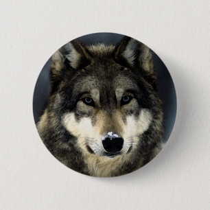Wolf Button